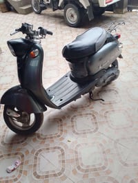 فينو • كركوك