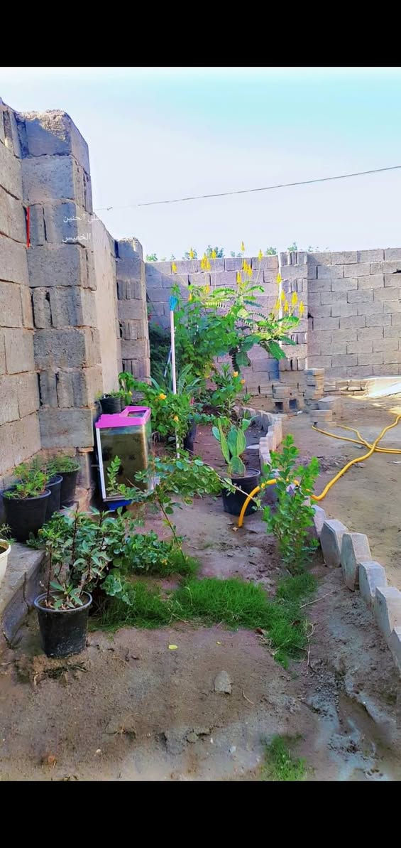 سلام عليكم بيت 220متر للبيع شارع المطار قرب محطة ريبال سايدين حي الصناعي موقع قريب على شارع العام
البناء بلوك الساس صب كونكريت يحتوي على غرفه وحده وصاله ومطبخ وستقبال وصحيات السعر مناسب جداً @
***********📞
***********📞
الاستفساراتصالاوواتساب
