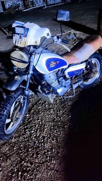 جانوا • وراق كامله • بلا نقص