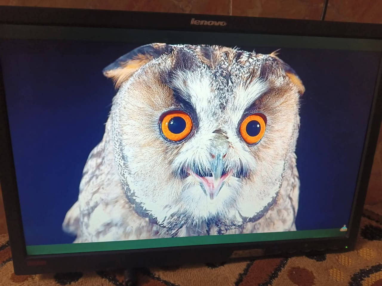 السلام عليكم شاشة مونيتر حجم 24 للبيع السعر25الف تستعمل للpcاو للكاميرات.


**إذا كنت صاحب هذا الإعلان وتريد حذفه لأي سبب، رجاءا أرسل رسالة إلى الدعم الفني**