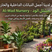 مشتل الود • الوجيهية شارع الاطباء • توصيل