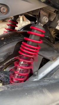 سكنس فحل • دشبول عاطل • جناي