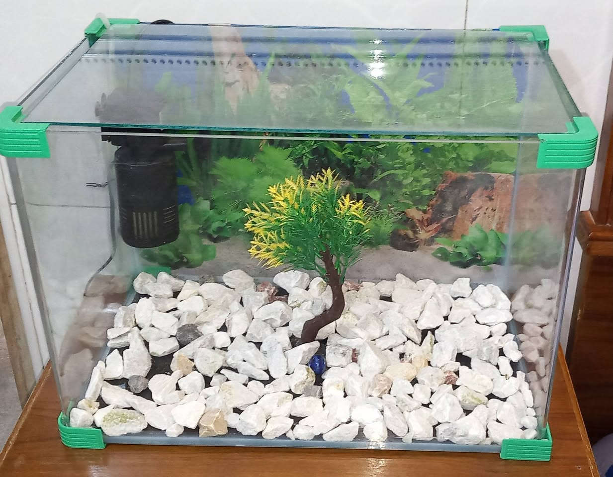 حوظ اسماك زينه 50x30
ماطوره فلتر ضخ هواء وتصفيت ماء الحوض
شبكة صغيره للسمك ولتنظيف الحوظ 
شجرة زينه مع حجر الحوض وعلبة اكل
المكان سبع البور / الضباط السعر ٤٠ الف وبيها مجال
تواصل واتساب ***********
