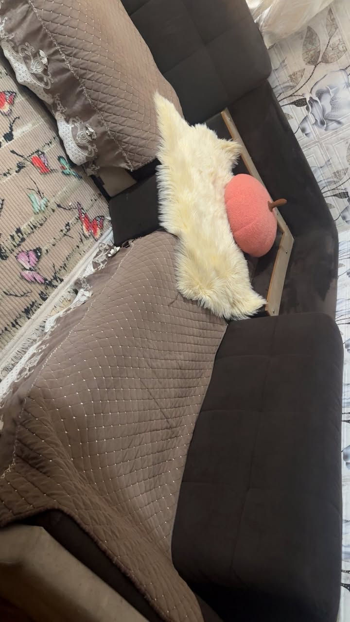 تخم كورنر يتحول سرير ومخزن للبيع نضيف عالفحص


**إذا كنت صاحب هذا الإعلان وتريد حذفه لأي سبب، رجاءا أرسل رسالة إلى الدعم الفني**