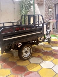 ستوته • معمرة • مكفولة
