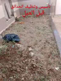 حدقجي خبرة • الموصل • تقليم أشجار