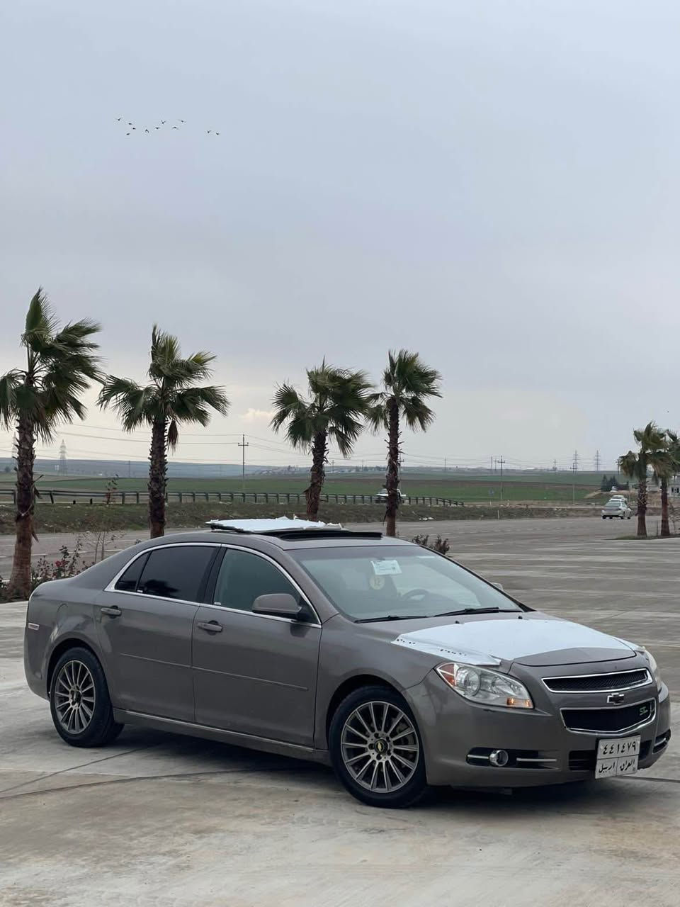 للبيع ماليبو مو ديل 2011 سياره فول فول مواصفات 1/1 فتعه كشنات كهرباي سياره تغم تاير جديد وصدر جديد  تبريد ثلج  تتفيه كله شرت سيا ره بيها خمس قعع صبغ بدون دوخل بدون ضربه سياره تعويل وكاله غرامات شرت ثاني يوم   / سعر72/سيا ره مو جود   عقره بين أربيل و دهوك *********** هاتف /واتساب اكر, نينوى
