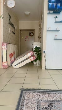 دواشك • عدد ٢ • ابو نفر درجة أولى
