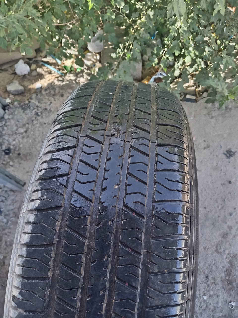 البيع سبير تاهو سعرى ٥٠ الف ماكان أربيل ***********
