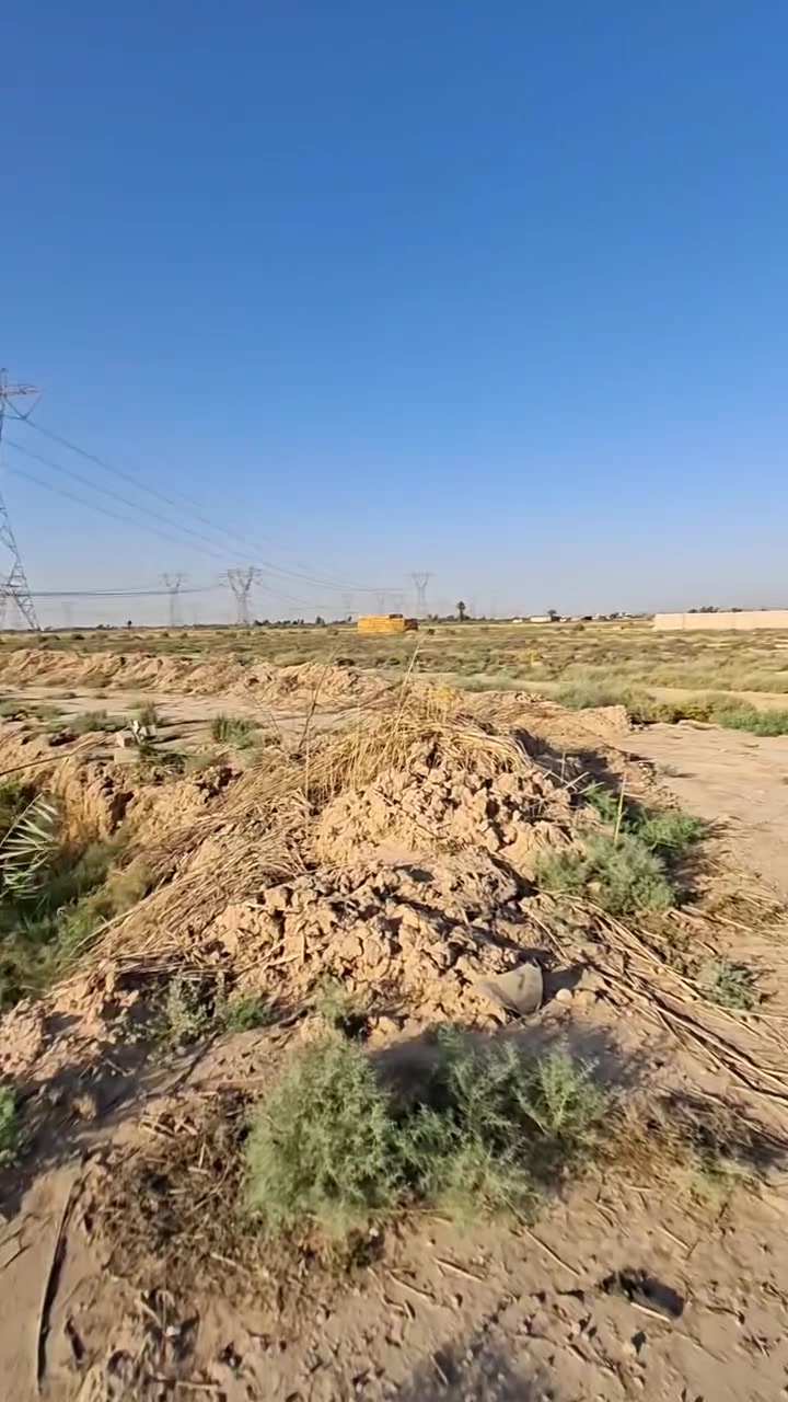 السلام عليكم 
عرض جديد والي يدور مساحات جبتلكم ١٧ دونم عقد زراعي  
المساحه ١٧ دونم مخدومه ماء سقي وكهربا  وشارع سبيس عريض راح يتبلط عن قريب 
الصنف عقد زراعي  ١١٧ 
صايره ركن عله شارع فرعي وشارع رئيسي بصفها ماء سقي وكبالها ماء سقي 
تصلح مزارع وتقطيع لسكن هم يرهم والزراعه والمشاريع الحيوانيه هم ترهم 

الموقع بغداد النهروان السايد الواحد الكرغوليه 
يبعد عن الشارع العام الكرغوليه  كيلوين وعن القريه الخنساء  ٣٠٠ متر وعن الجسر الفرنسي  ٣ كيلوات 

تفاصيل اكثر 📷
*********** واتساب 
*********** اتصال
