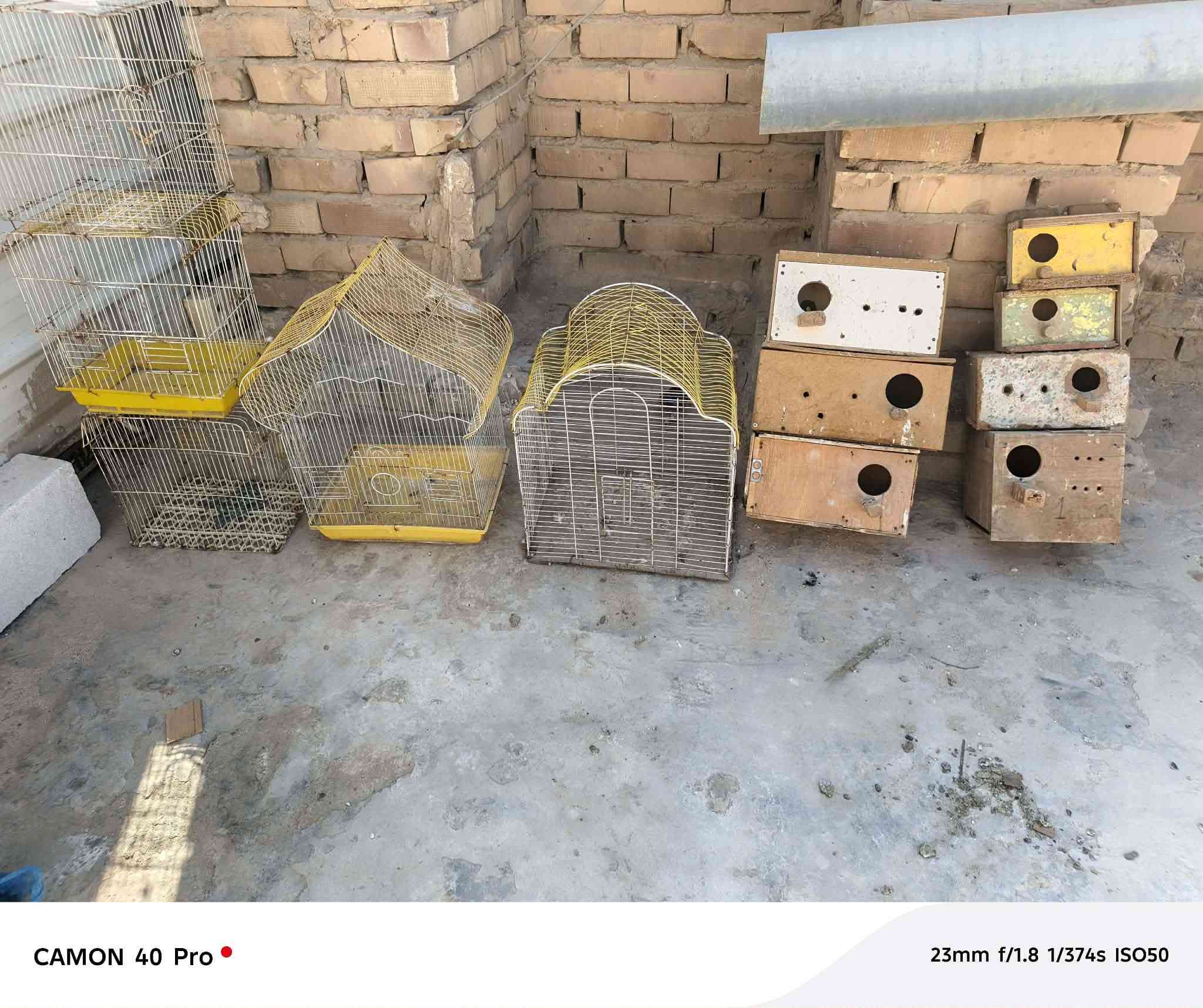 السلام عليكم بيوت مال تكاثر وقفاصه للبيع ***********
