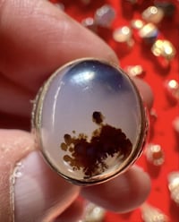 عقيق يماني • شجري • مصور