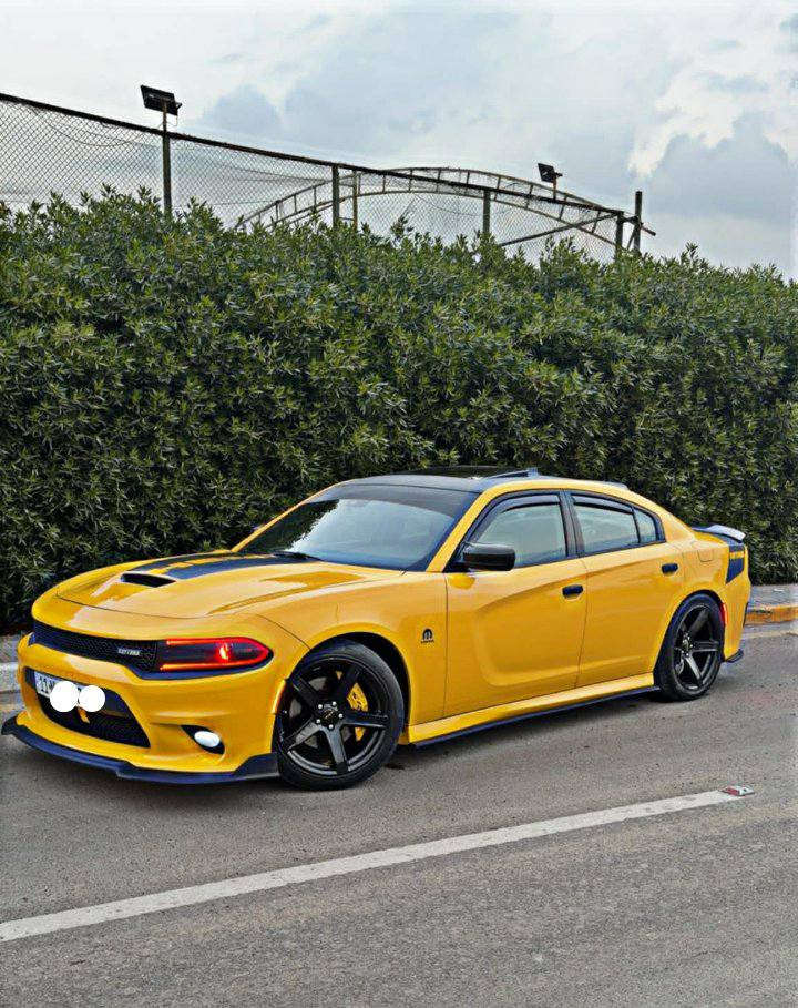 السلام عليكم ..
جارجر دايتونا
موديل ٢٠١٧
محرك٥٧٠٠
المواصفات 1/1 شنو بالك بيه
رادار امامي
رادار جانبي
مري قلاب +تعتيم
فتحة سقف
حساس خلفي
شاشه كار بلي
شفتات ستيرن 
سستم صوت الباين +دمام بلجنطة بلاد
كشنات  حضن خزن ميموري
تدفئه تبريد كشنات
سوبر تراك باك
ستيرن كهرباك 
داخل كنتارا وجلد 
ويل كب نجمه
كت اضافات خارجية كامل
كزوز موبار وعليه بوابات كتم وعليه كت اوف
قماره اسود بلاد + ستيكرات دايتونا
لايت متغير +عدسات Q5
ماشيه 84 ميل 
ادامه كامله علسياره من بلكات وفيت بم وباتري وتبريد
وصدر +برمجه 
رقم  بغداد انكليزي 
السياره قطعه وحدة صبغ بدون ايرباك 
السعر 215$
وصور الحادث موجودة
***********
مكان السياره بغداد نفق الشرطة
