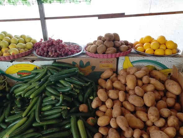 مرتضى الفرطوسي للفواكه والخضروات 
يوجد لدينا خدمه توصيل داخل التاجيات والعز 
للتواصل فيس أو واتساب 
رقم الهاتف ***********
العنوان التاجيات شارع20قرب مرور التاجيات
موجودين طيله ايام الاسبوع ماعدا يوم الجمعه
