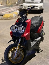 سكنس جبلي • ٢٠١٣ • معدل