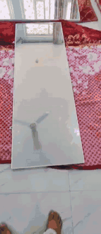 بسبب الوعد الكاذبه ارجع انشر ميز مخضر زائد ثيله. بسعر  والمريات بسعر   التفاصيل خاص  هذه رقمي ***********
