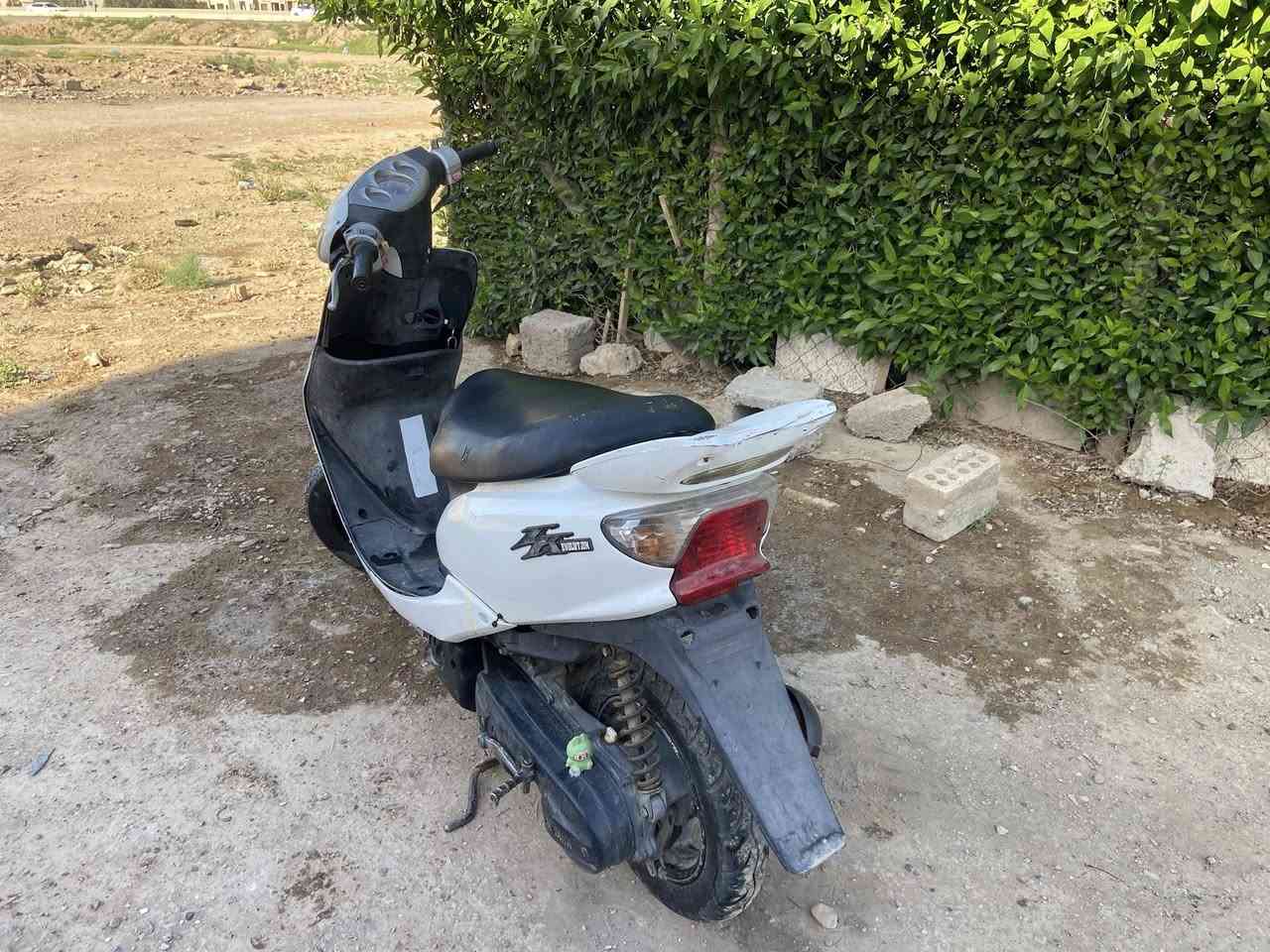 سلام عليكم دارجه عصفوريه ٦٠ دراجه نضيفه وحلوه مثل ما موضح بصور واحلى بعد اي نقص مابيها شعله معدل مكينه ناعمه كهربائيات كلها شغاله سلف هندر اشاير هورن نكره سلف باي وقت دراجه حلوه وبلعافيه ع ياخذها مكاني بغداد 
الدوره السعر 250 وبي مجال بسيط حك الجيه جماعه 200 لا تخابرني دراجه تسوه لمثلها عارضيها باغلى بس اني مستعجل ع بيع رقمي للاتصال *********** بي واتساب
خاص مغلق
