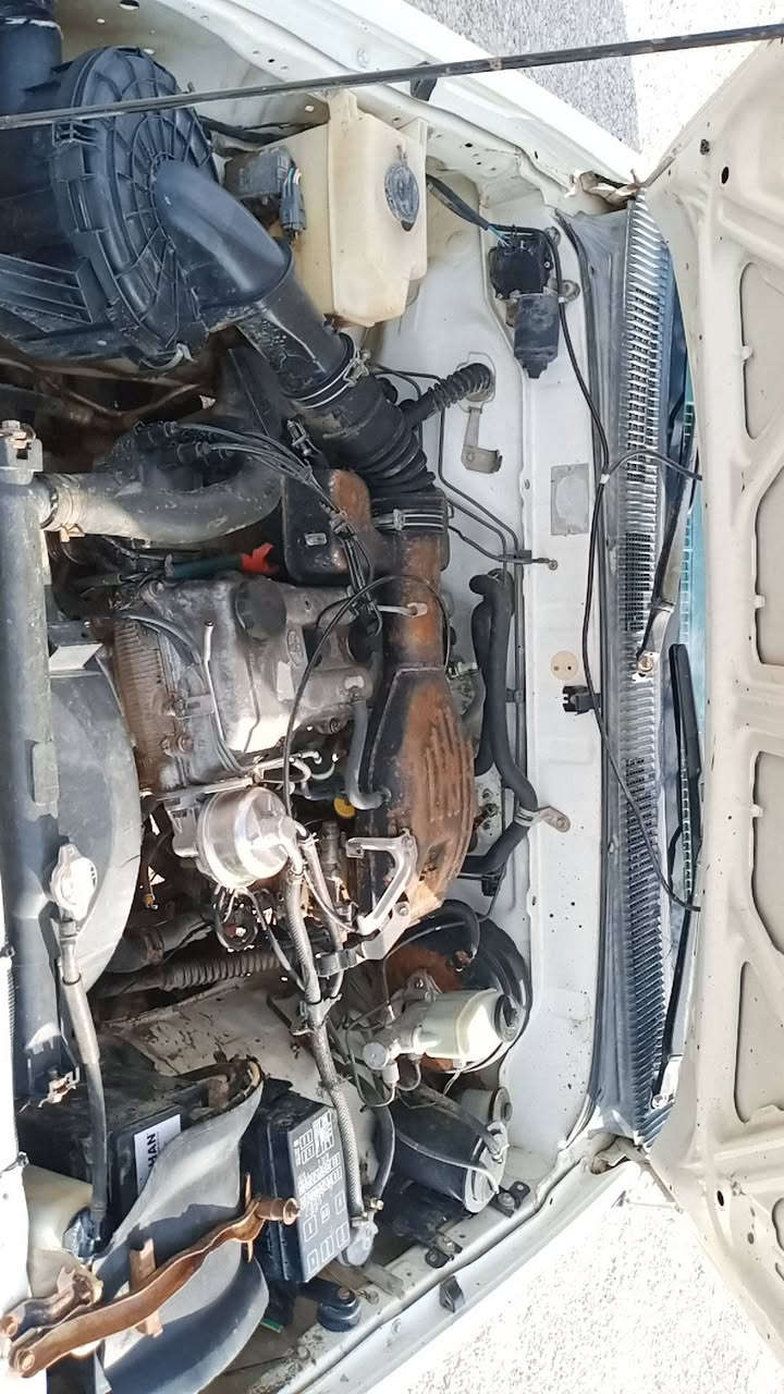 سلام عليكم تيوته للبيع موديل 99 عطيه شرد 

من دعاميه لدعاميه سياره جاهزه ما ناغصها اي شي 

خط الشركه   رقم  نينوى جديد اجنبي السعر 95 وبيه 

مجال بصيط  رقم الهاتف يوجد تصال ويوجد و ات ساب 
             
***********

