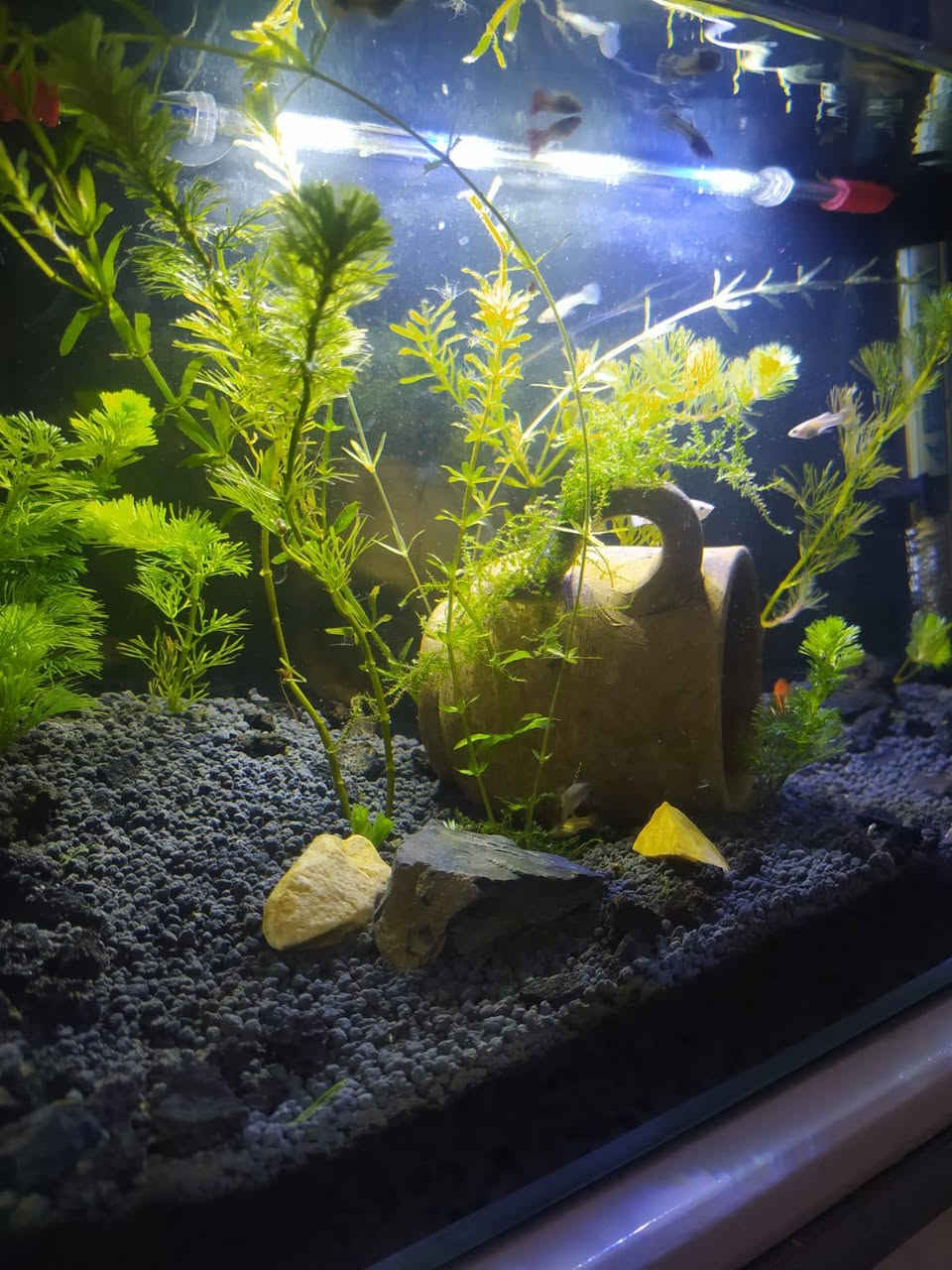 السلام عليكم اغراض للبيع كلمن وسعرة تخم تركي عشر مقاعد 350
حوض سمك القياسات 
العرض ٤٠ 
الارتفاع ٢٥
العمق ٢٠
السعر 50 
حذاء طفل قياس 25
سعرة 5 الف 
قمصان صيفي الواحد 5اربعة 15
 وسوت 10
الشراي يدخل خاص


**إذا كنت صاحب هذا الإعلان وتريد حذفه لأي سبب، رجاءا أرسل رسالة إلى الدعم الفني**