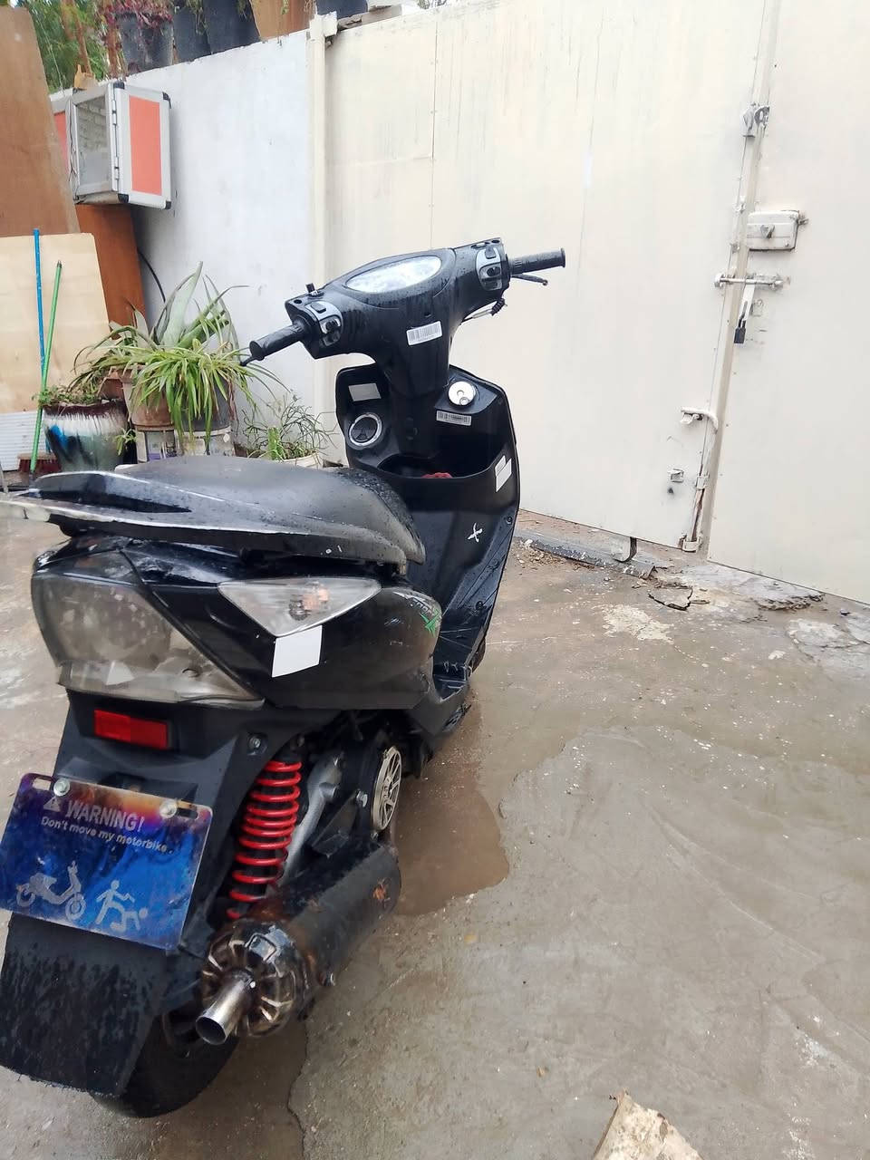 ثعلب بلادي.نوزل.اريد مراوي
***********
