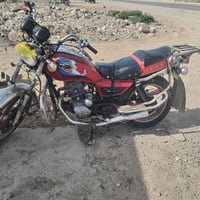 جني • بدون أوراق • كهربائيات كاملة