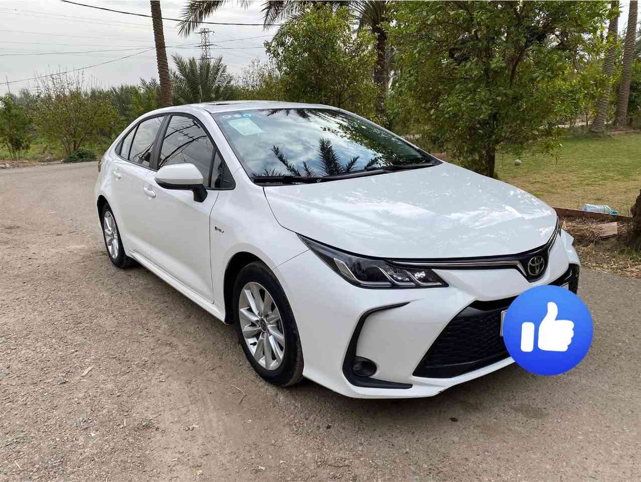 كورلا 2025 ماشيه 6000 بعدها زيرو
مكفولة كفالة عامه فول فتحه رقم بغداد حرة

***********
متواجد في بغداد زيونة
بيع فقط بدون مراوس السعر 140
