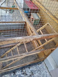 قفص • كوفه • مكاني