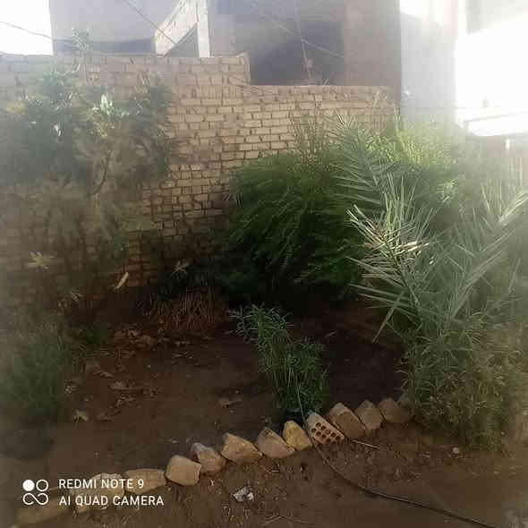 السلام عليكم دار للبيع طابو صرف بيت حر لا طلاب ولا شي مدور مباشر  مساحته 200م وجهة 10م نزله 20م مدور مباشر شارع 60  مكان حلو وخدمات فول تبليط ومجاري وكل شي متوفر يتكون بيت من براني وصاله ومطبخ و3غرف وصحيات دخليه وخارجه وكراج ومنور وحديقه اي ستفسار ع***********
