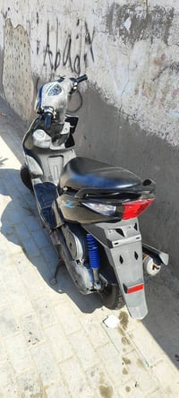 ماكس مضلع • موديل 10 • كفاله عامه