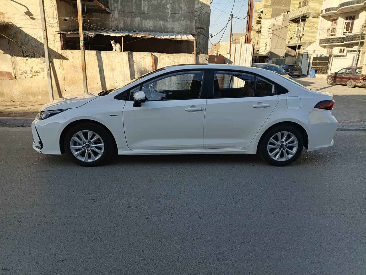 كورلا هايبرد موديل 2025 مبدل بيه قبق صندوق دعاميه خلفيه وبيه رصعات 2 صغيره بجاملغ الايمن فقط بدون يرباك بسمي ثاني يوم تحويل سعر 22 مليون
الاستفسار 
***********
