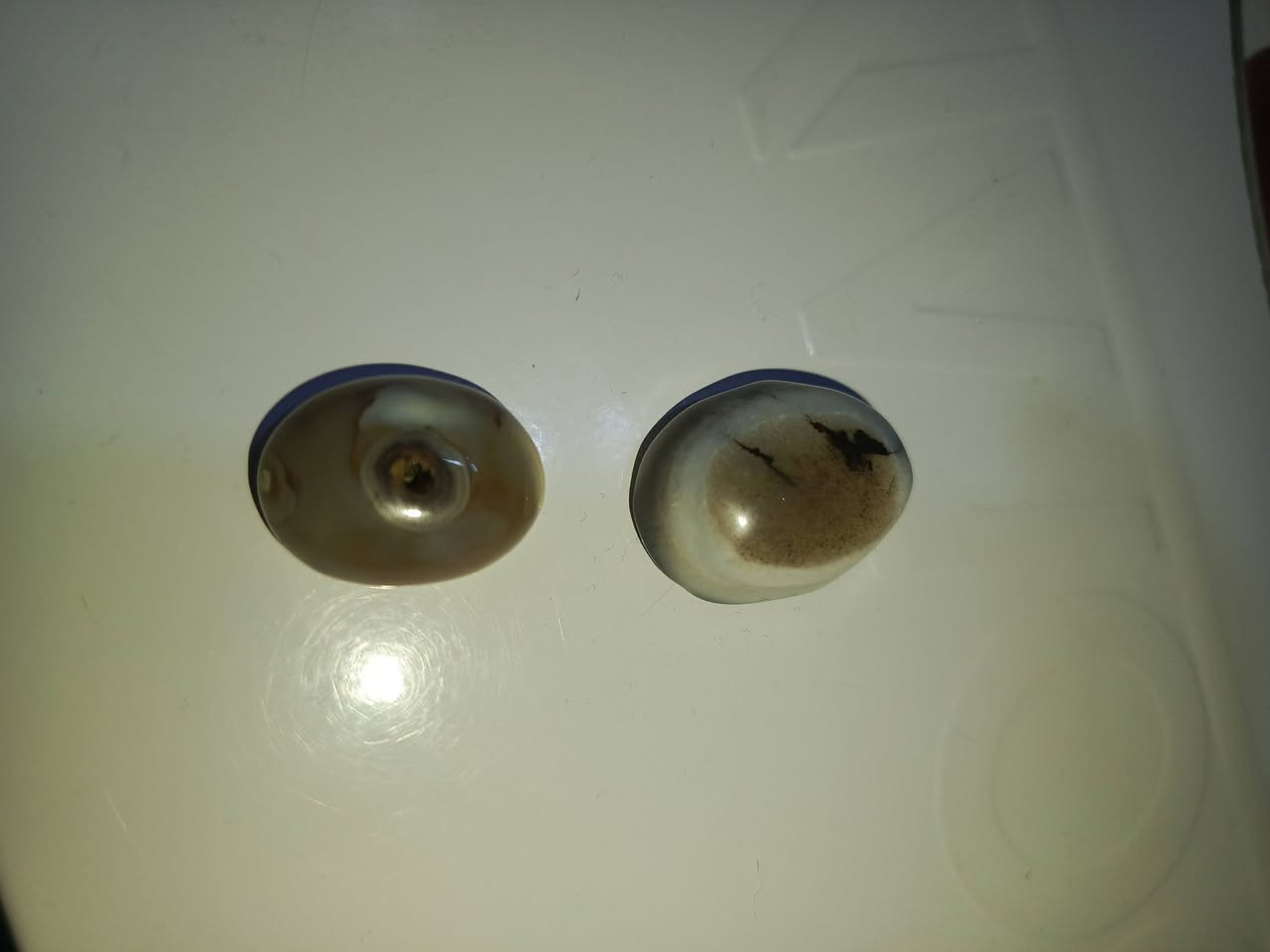 للبيع بغداد مدينة الصدر


**إذا كنت صاحب هذا الإعلان وتريد حذفه لأي سبب، رجاءا أرسل رسالة إلى الدعم الفني**