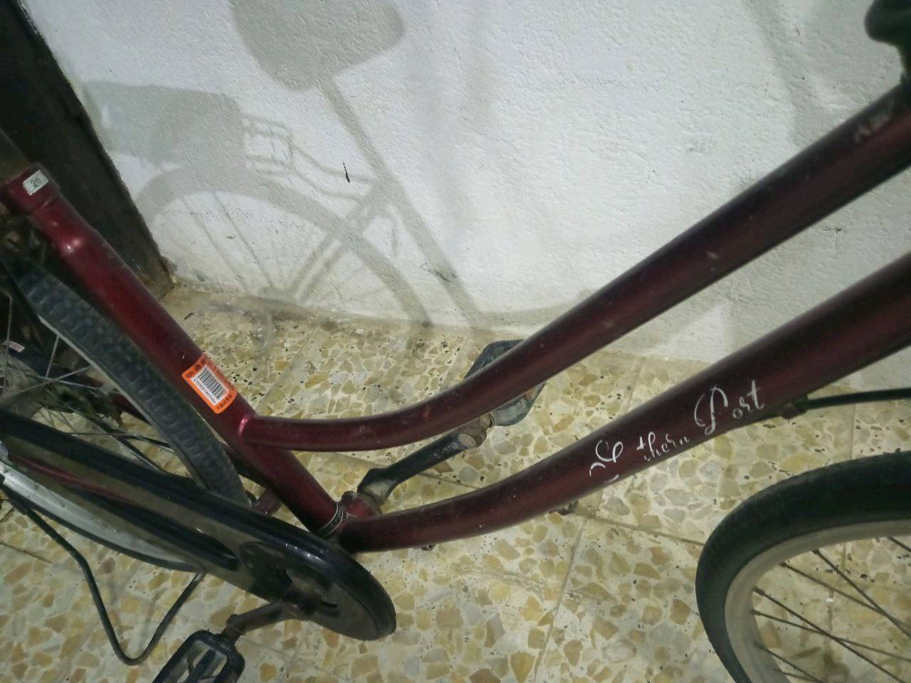 باسكل حجم 26 سعر60  مكاني 36 عوزه صجم للماشه وجاملغ امامي فقط تواصل واتساب
***********