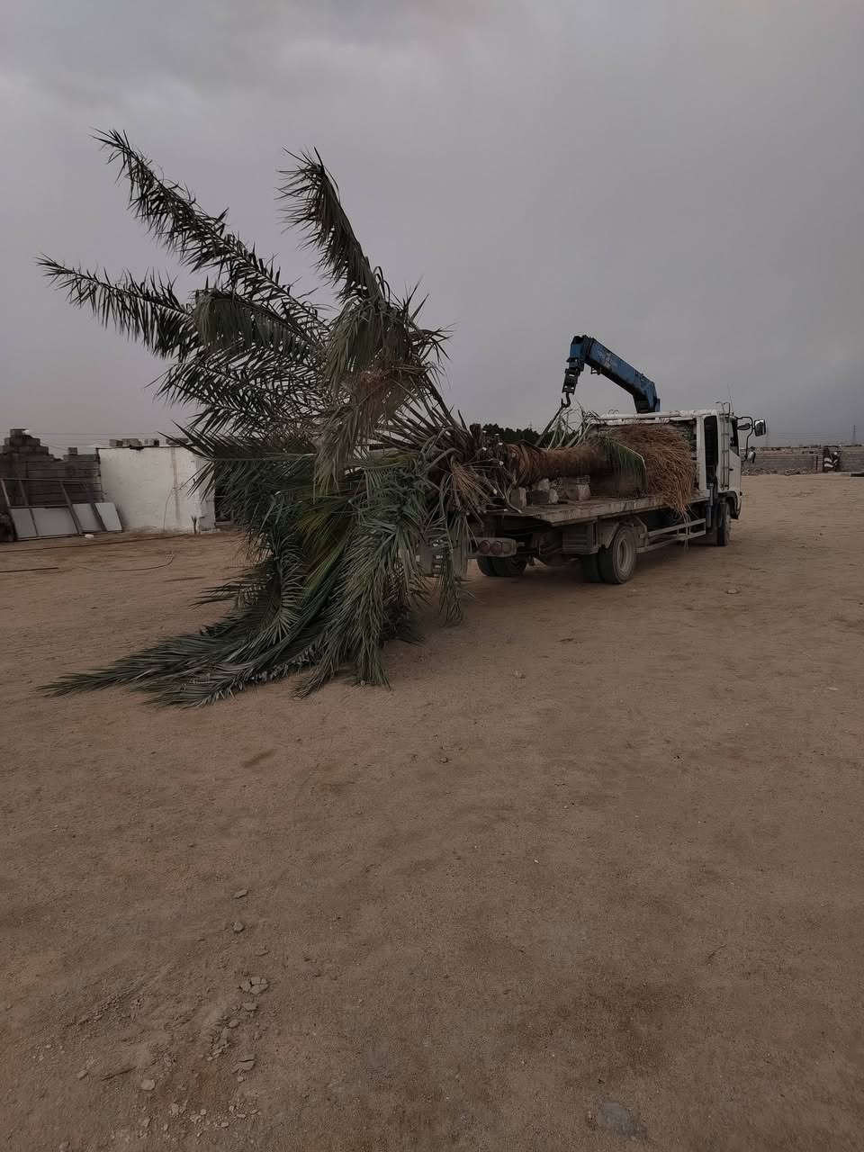 شيطان هينو كرين وسطحه للبيع الكرين اف اكس سلايتين والسطحه ٣ جكات الطول ٦ متر والعرض ٢٣٥ متر بسمي السنويه لغايه 29 رقم انكليزي بسمي مكينه 80 عادي لا تبخير ولا تنقيص مكفول الشاصي والتبريد شغال ثلج جاهزه للعمل تبريد شغال *********** او *********** ورحمه لوالديكم لحد يعلق الشراي يتصل
