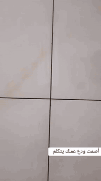 خلفه سيراميك الواح بورسلين بايات درج  متفرغ   حاليا من بابل  للستفسار *********** اشتغل  ع المتر او اليوميه
