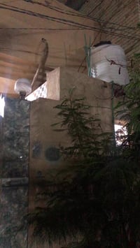 حي المصطفى • ١٠٠م • ٣ غرف