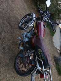 موديل ٢٣ • بدون أوراق • جزيرة الرمادي