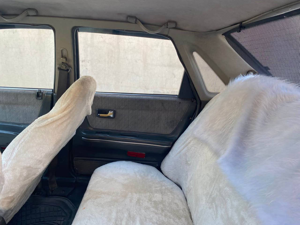 مازدا موديل ٩١  ٨ بخ صندوق لون ابيض رقم سليمانيه جديد و سنويه و هزه جديد لحد ٢٠٣٠  كير عادي صبع عام للجماليه فقط


**إذا كنت صاحب هذا الإعلان وتريد حذفه لأي سبب، رجاءا أرسل رسالة إلى الدعم الفني**