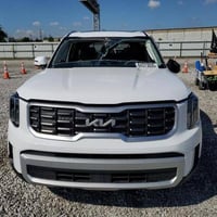 توليرايد • ٢٠٢٥ • الامارات