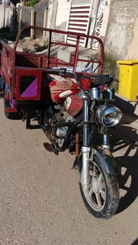 ستوته البيع2014 الستفسار07819340008