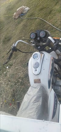 ستوته • موديل ١٤ • اوراق اصولي