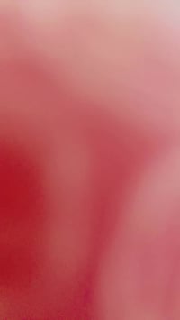 دراجة نارية • 7 ورق • ناحية السلام