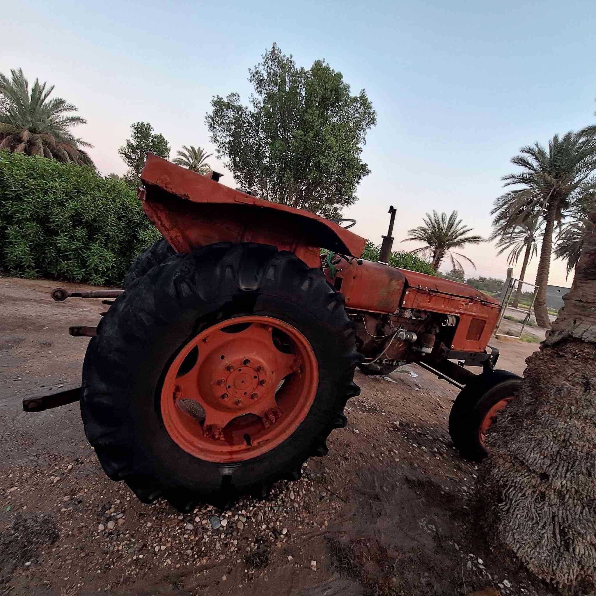 للبيع عنتر 71موديل 88 بدون تحويل محرك لاتنقيص ولاتبخير جديد بمعنى الكلمه رفع خير من الله جديد الكير جديد نكره سلف 
العنوان / محاويل _ قريه الفنديه 
رقم الهاتف :***********
