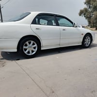 فاصوليا • أربيل