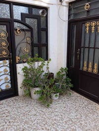 طابو زراعي • مشمول بقرار التمليك • ١٠٠م