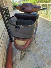 منغولي • كربلاء • شبانات