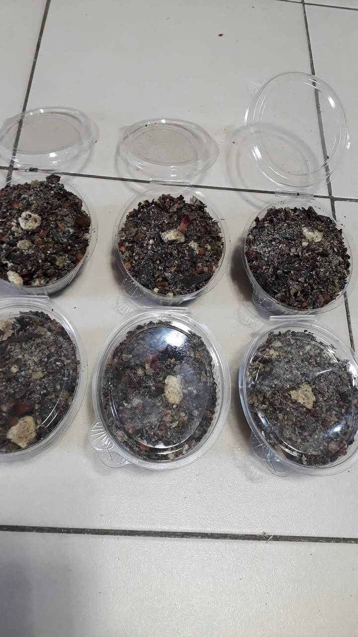 ♨️🔥 بخور خلطه ٧ أنواع الفواح 🔥♨️
💖  معطر بزيوت عطريه فواحه  💖

        👍👍 سعر العلبه 3 ألف 👍👍

سوينالكم تخفيضات بمناسبة قرب شهر محرم الحرام 

للطلب وللاستفسار مراسلة الصفحة أو الأتصال علئ الرقم /
***********
