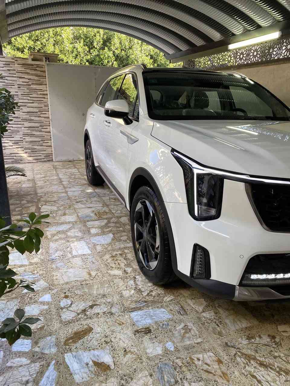 سورنتو 2024 سته سلندر ماشية 16 الف بانراما تشغيل عن بعد بصمة ابواب بصمة تشغيل كرسين كهربا بردات ابواب شاحن واير ليس  بسمي كفالة عامه عدا بارد قليل وما مبين بنهايت القمارة السعر 32 وبهة مجال 
***********
