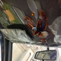 سايبه موديل 11 رقم دولي باسمي سنويه جديده شواصي معمرات سياره مصبوغه لل...