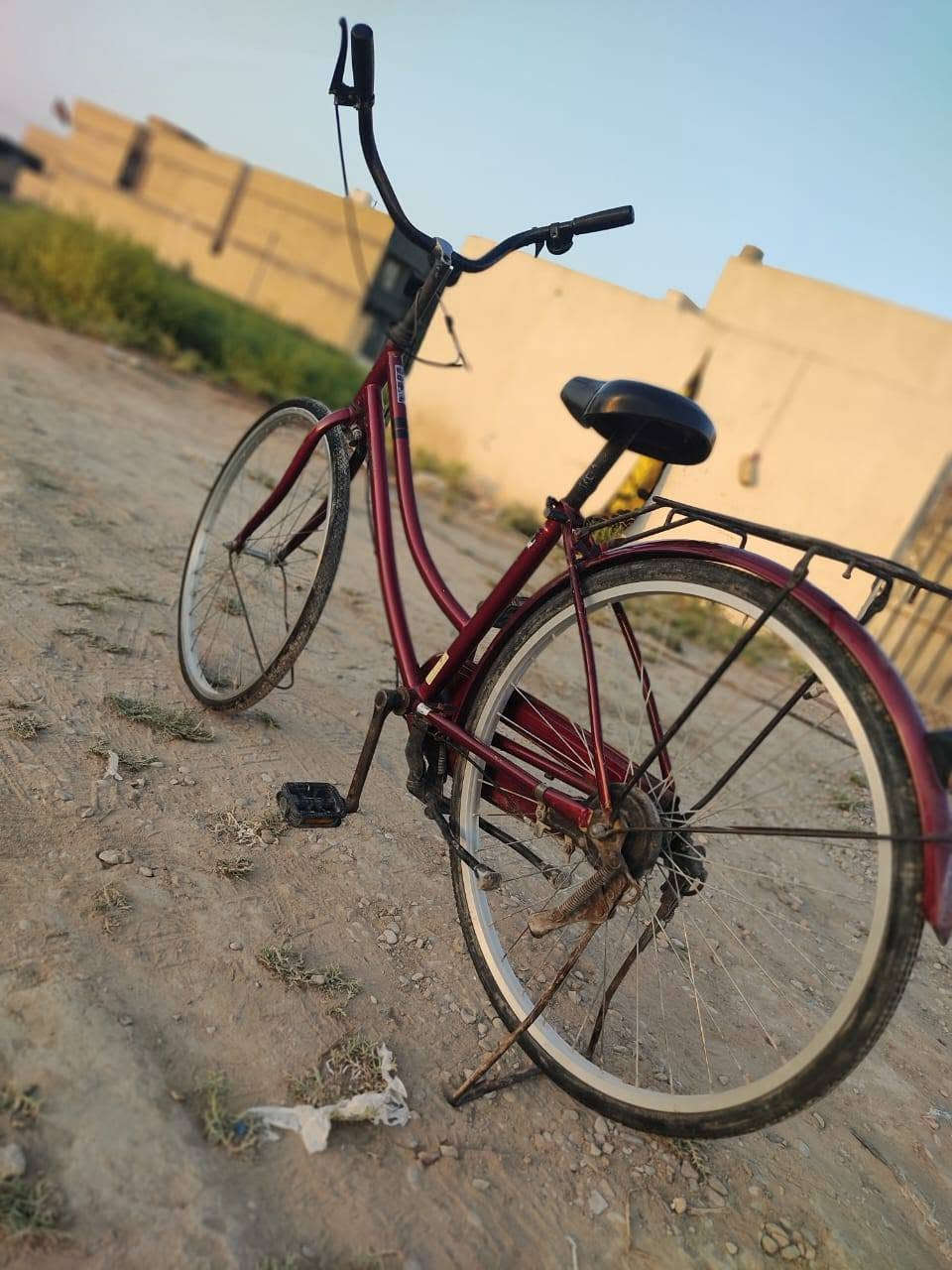 سلام عليكم بايسكل للبيع حجم 26 بايسكل جديد ونضيف جاملغ الكدام موجود لونه ماروني السعر 100 وبي مجال قليل مكاني ناصرية قرب السجن الاصلاحي(الحبيلية) 
رقمي ***********
