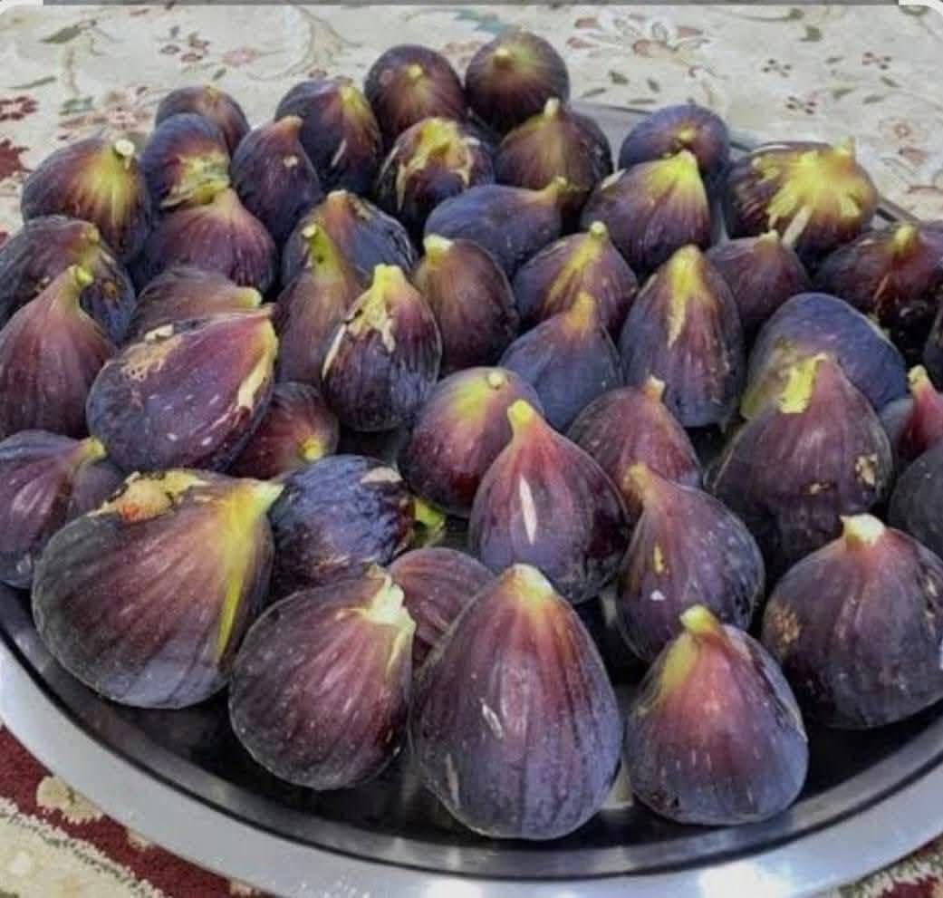 يوجود خدمت توصيل لجميع المحافظات  الحجز والستفسار مرسلتنا خاص


**إذا كنت صاحب هذا الإعلان وتريد حذفه لأي سبب، رجاءا أرسل رسالة إلى الدعم الفني**